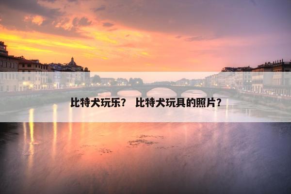 比特犬玩乐？ 比特犬玩具的照片？