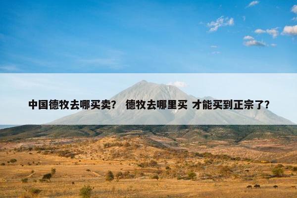 中国德牧去哪买卖？ 德牧去哪里买 才能买到正宗了？
