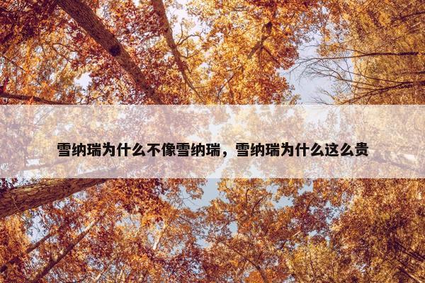 雪纳瑞为什么不像雪纳瑞，雪纳瑞为什么这么贵