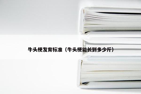 牛头梗发育标准（牛头梗能长到多少斤）