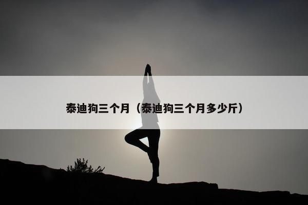 泰迪狗三个月（泰迪狗三个月多少斤）
