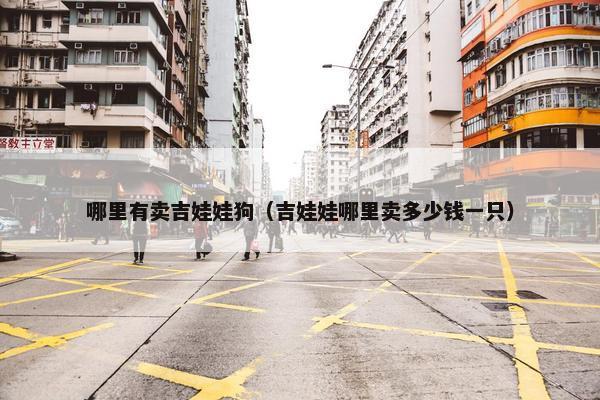 哪里有卖吉娃娃狗（吉娃娃哪里卖多少钱一只）