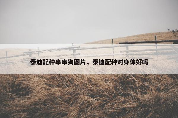 泰迪配种串串狗图片，泰迪配种对身体好吗