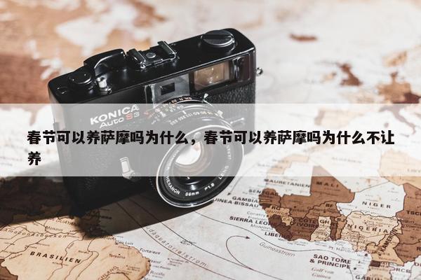 春节可以养萨摩吗为什么，春节可以养萨摩吗为什么不让养