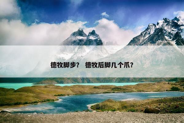 德牧脚步？ 德牧后脚几个爪？