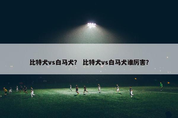 比特犬vs白马犬？ 比特犬vs白马犬谁厉害？