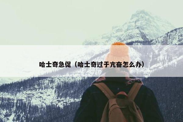 哈士奇急促（哈士奇过于亢奋怎么办）