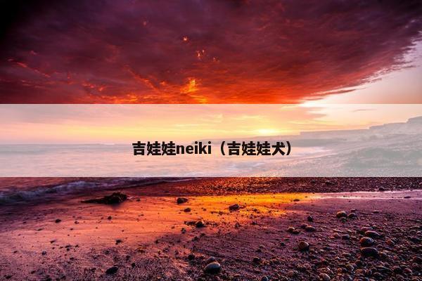 吉娃娃neiki（吉娃娃犬）