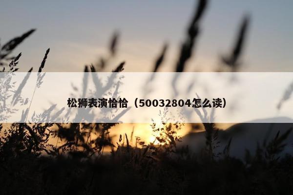 松狮表演恰恰（50032804怎么读）