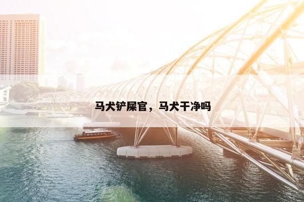 马犬铲屎官，马犬干净吗