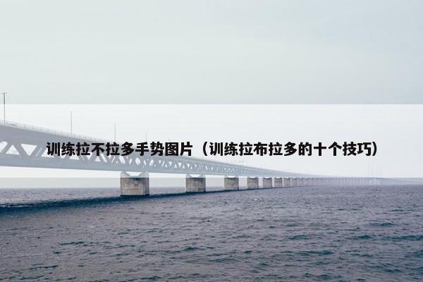 训练拉不拉多手势图片（训练拉布拉多的十个技巧）