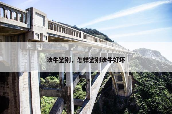 法牛鉴别，怎样鉴别法牛好坏