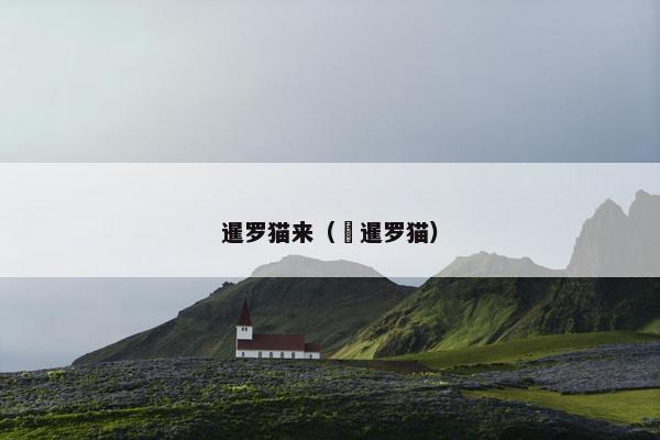 暹罗猫来（ 暹罗猫）