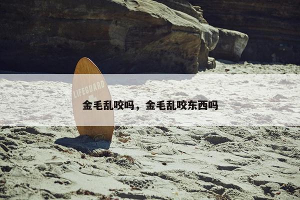 金毛乱咬吗，金毛乱咬东西吗