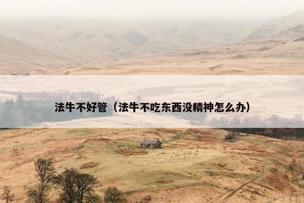 法牛不好管（法牛不吃东西没精神怎么办）