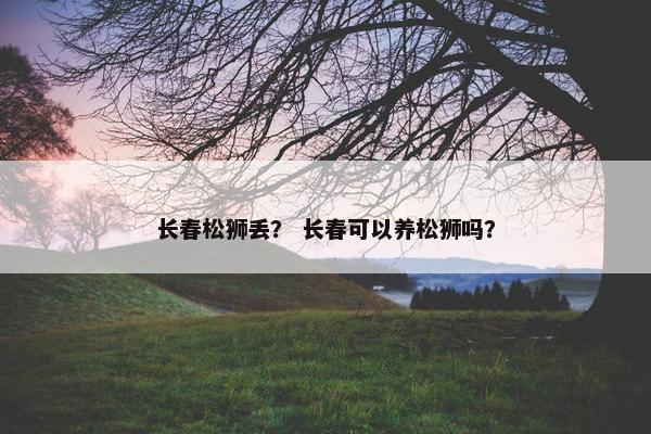 长春松狮丢？ 长春可以养松狮吗？