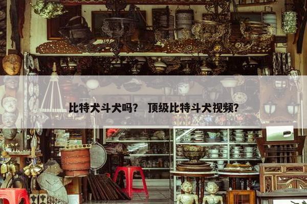比特犬斗犬吗？ 顶级比特斗犬视频？