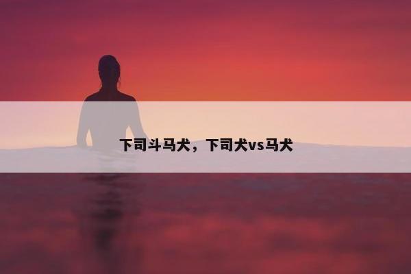 下司斗马犬，下司犬vs马犬