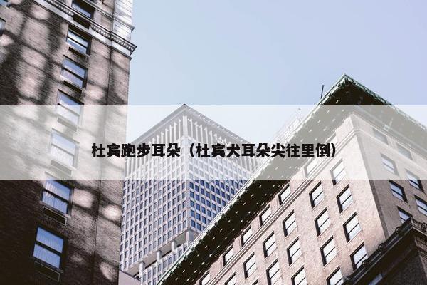 杜宾跑步耳朵（杜宾犬耳朵尖往里倒）