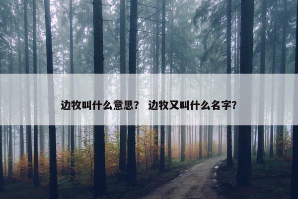 边牧叫什么意思？ 边牧又叫什么名字？
