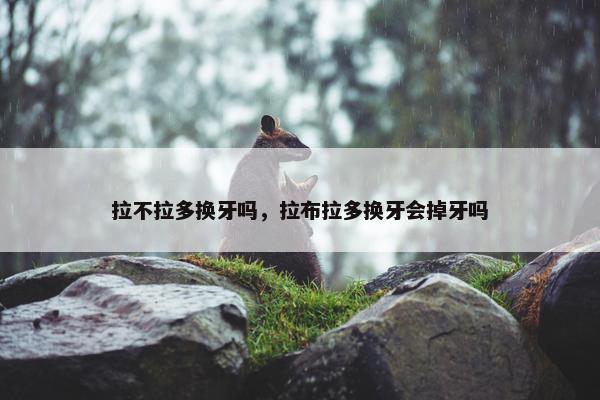 拉不拉多换牙吗，拉布拉多换牙会掉牙吗