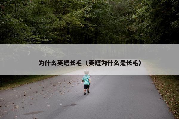 为什么英短长毛（英短为什么是长毛）