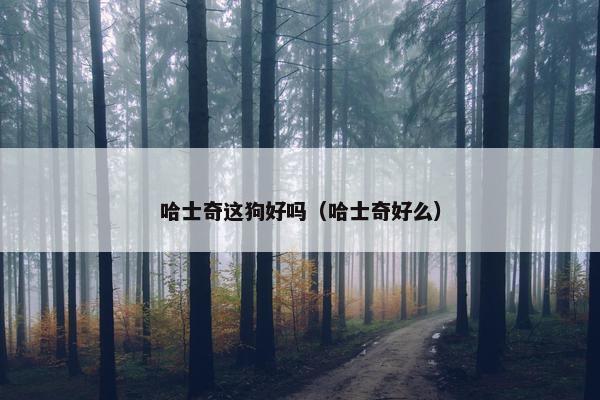 哈士奇这狗好吗（哈士奇好么）
