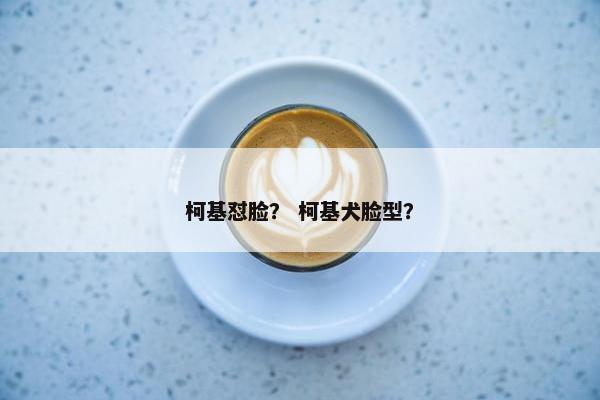 柯基怼脸？ 柯基犬脸型？