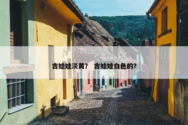 吉娃娃淡黄？ 吉娃娃白色的？