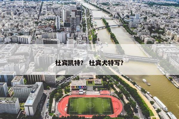 杜宾凯特？ 杜宾犬特写？