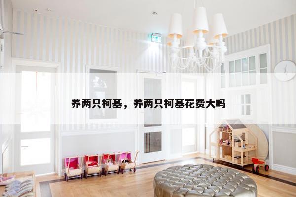 养两只柯基，养两只柯基花费大吗