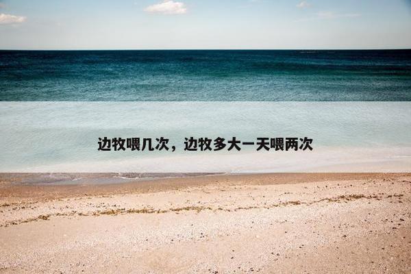 边牧喂几次，边牧多大一天喂两次