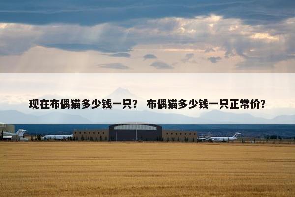 现在布偶猫多少钱一只？ 布偶猫多少钱一只正常价？