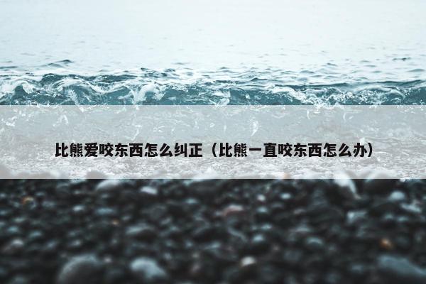 比熊爱咬东西怎么纠正（比熊一直咬东西怎么办）
