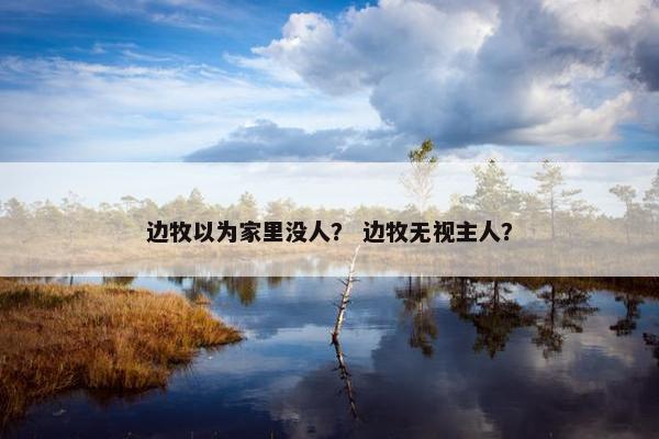 边牧以为家里没人？ 边牧无视主人？