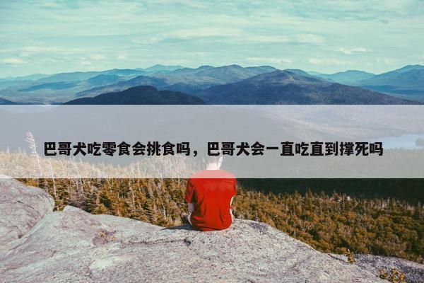 巴哥犬吃零食会挑食吗，巴哥犬会一直吃直到撑死吗