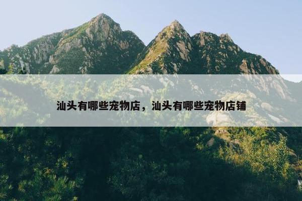 汕头有哪些宠物店，汕头有哪些宠物店铺