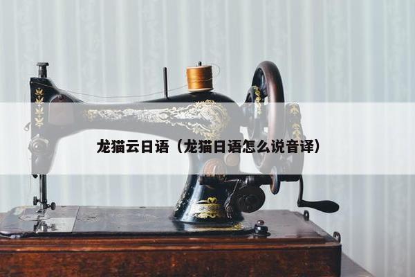 龙猫云日语（龙猫日语怎么说音译）