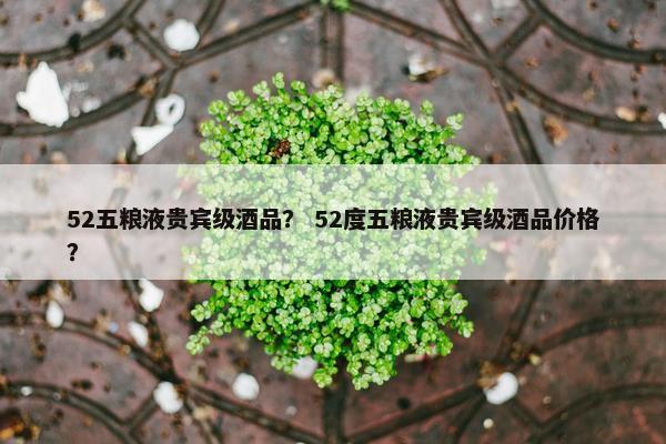 52五粮液贵宾级酒品？ 52度五粮液贵宾级酒品价格？