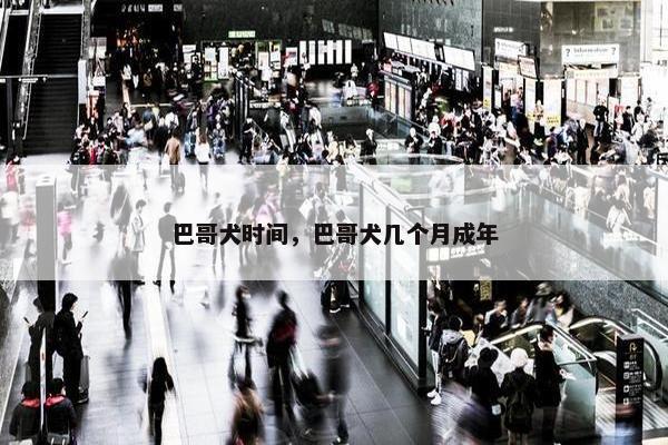 巴哥犬时间，巴哥犬几个月成年
