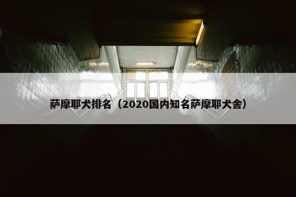 萨摩耶犬排名（2020国内知名萨摩耶犬舍）