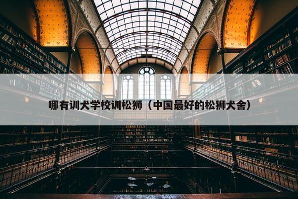哪有训犬学校训松狮（中国最好的松狮犬舍）