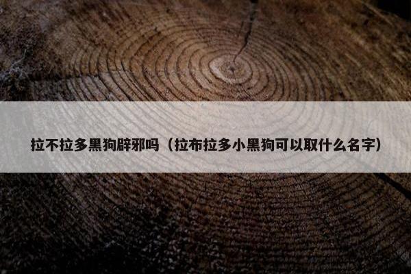 拉不拉多黑狗辟邪吗（拉布拉多小黑狗可以取什么名字）