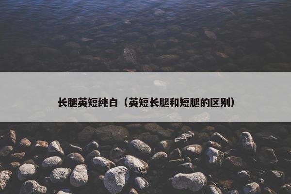长腿英短纯白（英短长腿和短腿的区别）