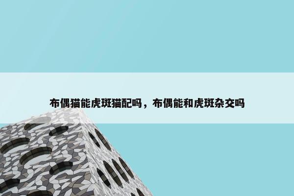 布偶猫能虎斑猫配吗，布偶能和虎斑杂交吗