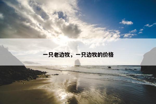 一只老边牧，一只边牧的价格