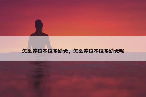 怎么养拉不拉多幼犬，怎么养拉不拉多幼犬呢