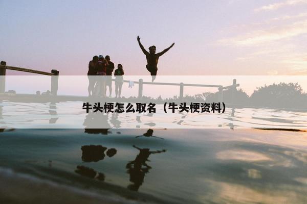 牛头梗怎么取名（牛头梗资料）