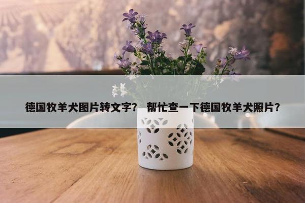 德国牧羊犬图片转文字？ 帮忙查一下德国牧羊犬照片？