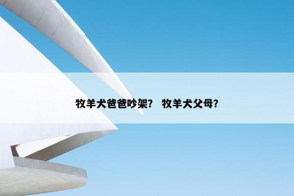 牧羊犬爸爸吵架？ 牧羊犬父母？